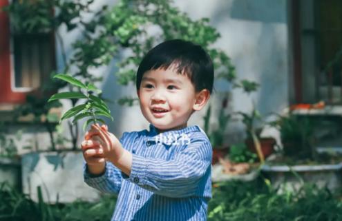 子字五行属什么 子字取名男孩名字大全