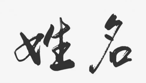 姓名测试打分 姓名测试打分起名网免费取名